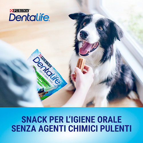 Purina Dentalife: lo snack ideale per l’igiene orale del tuo cane